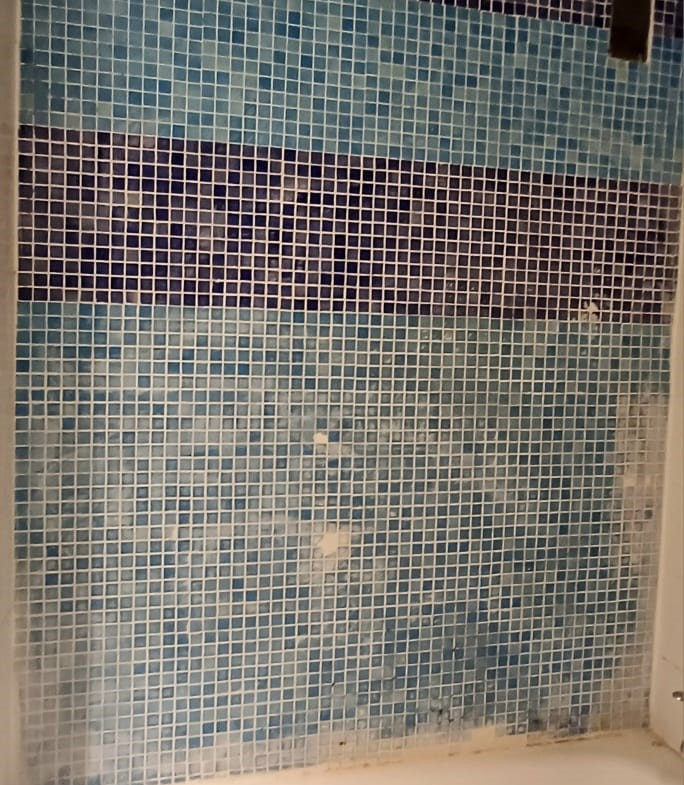 684