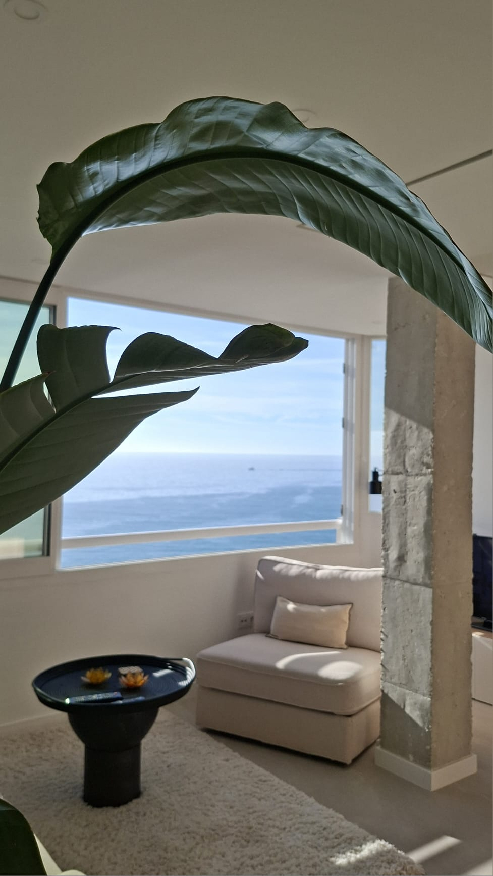 WhatsApp Image 2026-02-25 at 17.27.45